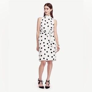 Ann Taylor Belted Dot Dress